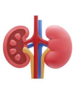 Urologiya